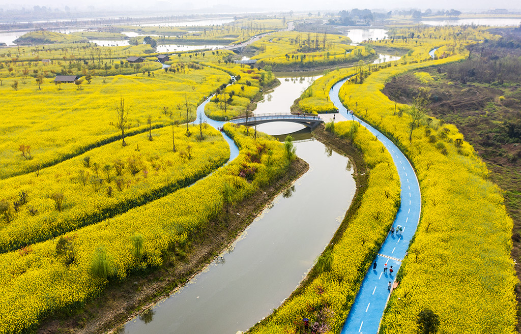 DJI_0207.jpg