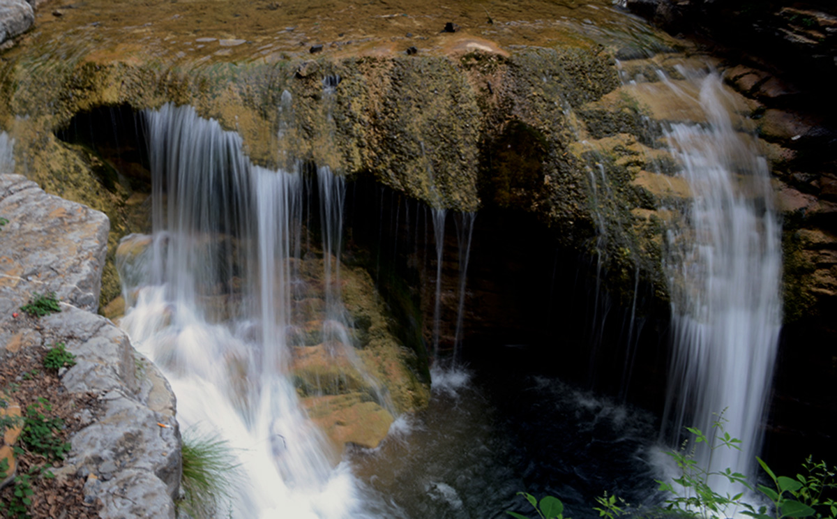 DSC_1117.JPG
