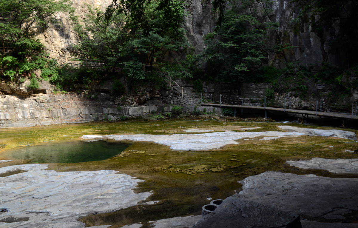DSC_1153.JPG