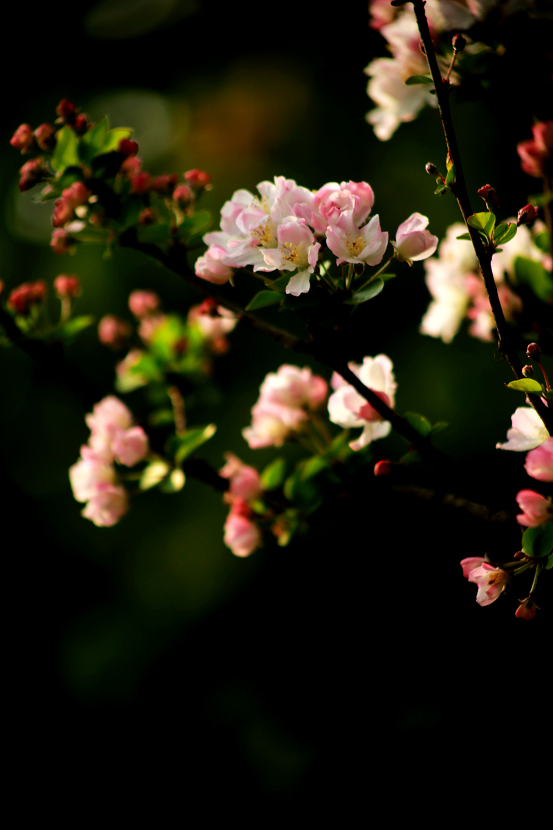 FU2A0020.JPG