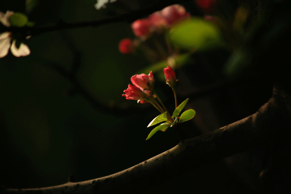 FU2A0023.JPG
