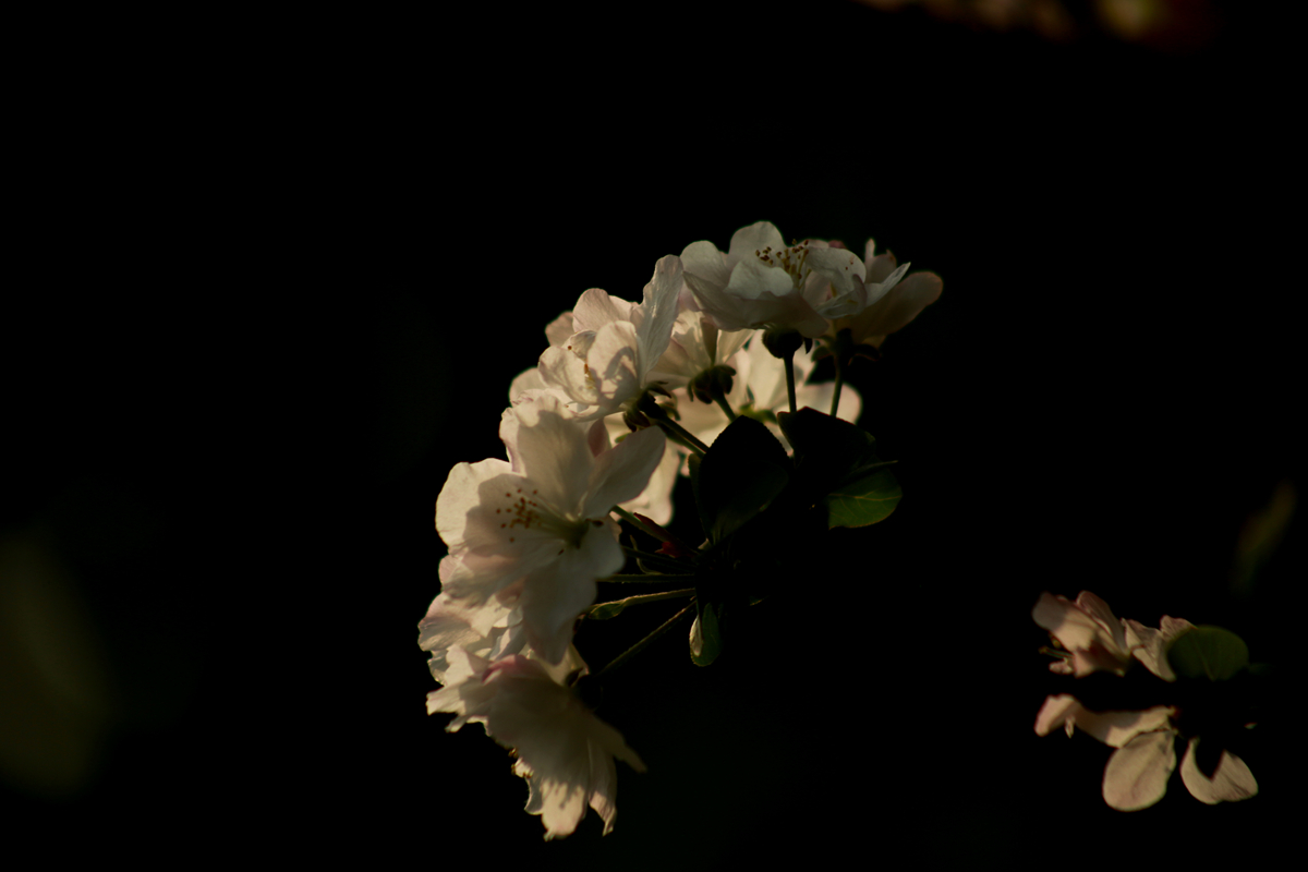 FU2A0022.JPG