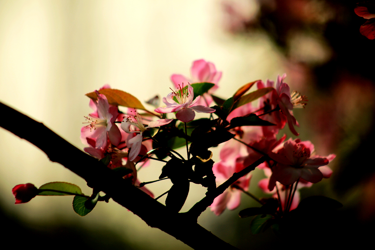 FU2A0028.JPG