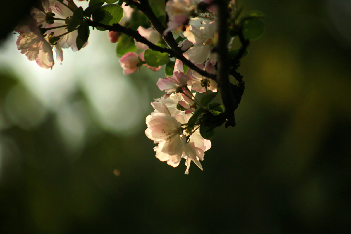 FU2A0026.JPG