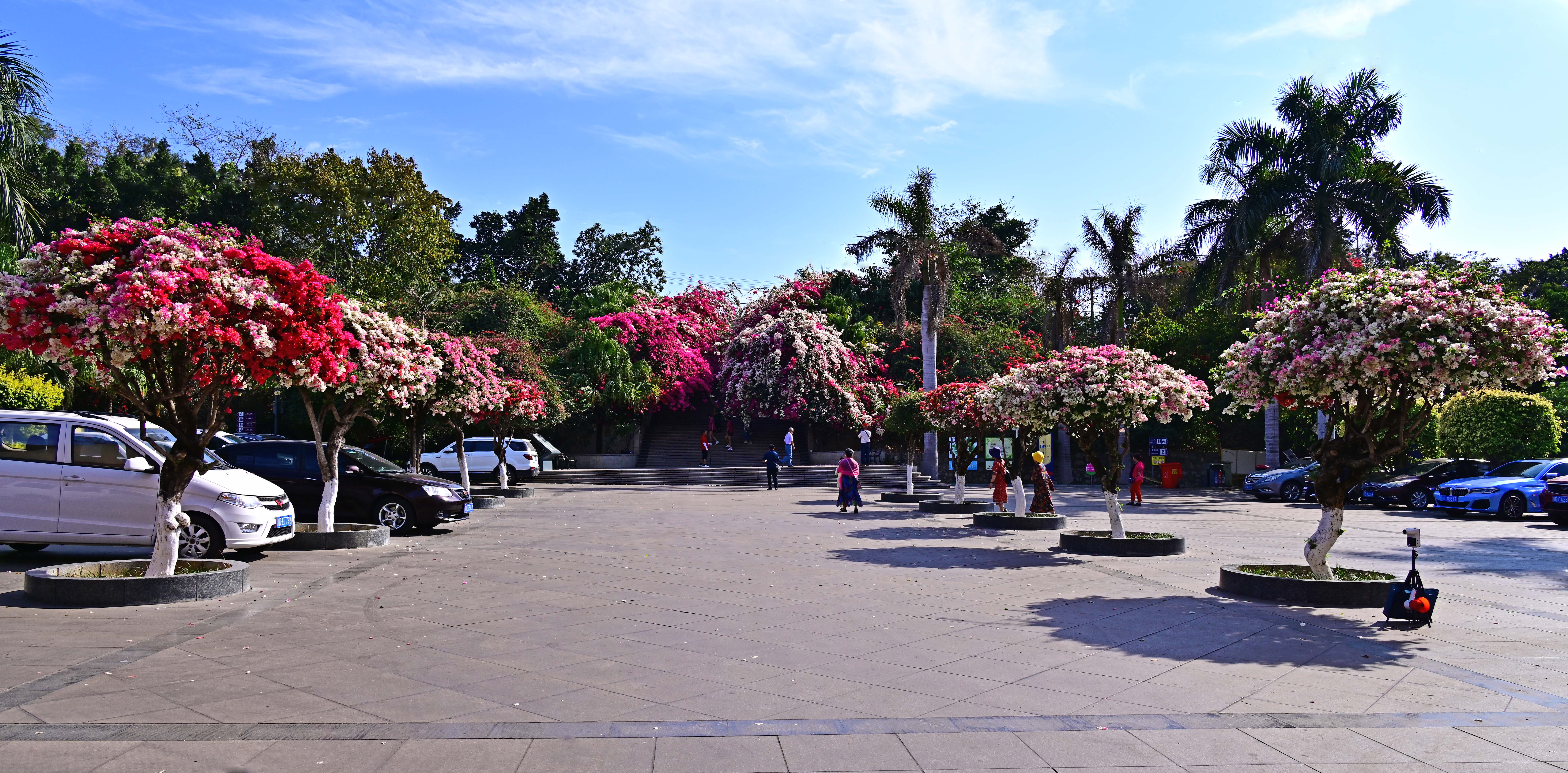 DSC_8782.jpg