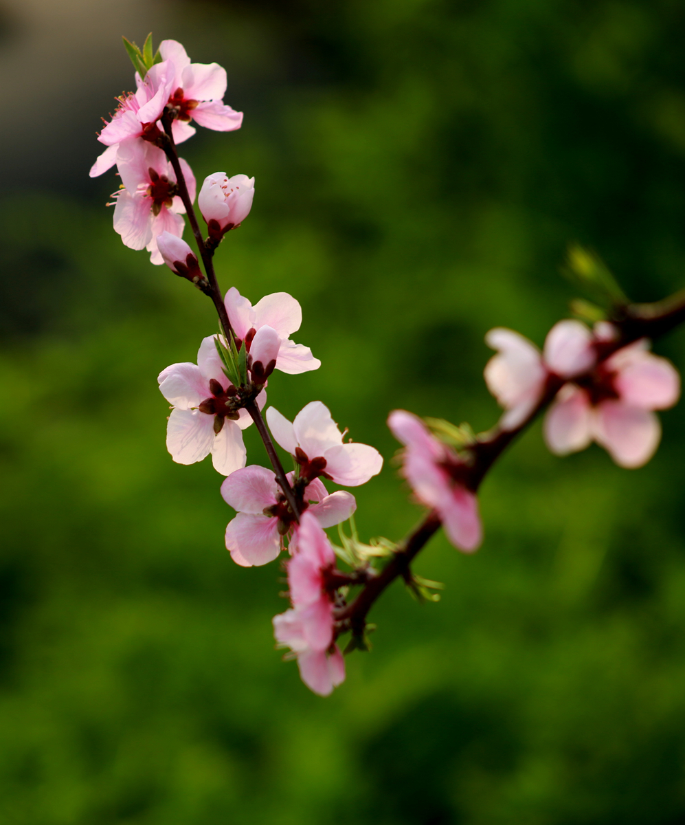 FU2A0089.JPG
