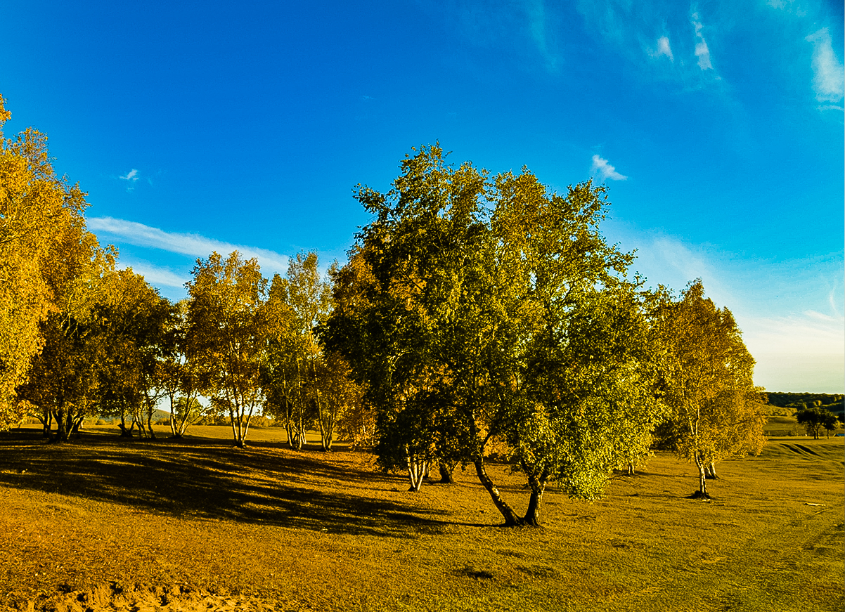 DSC_7469.jpg