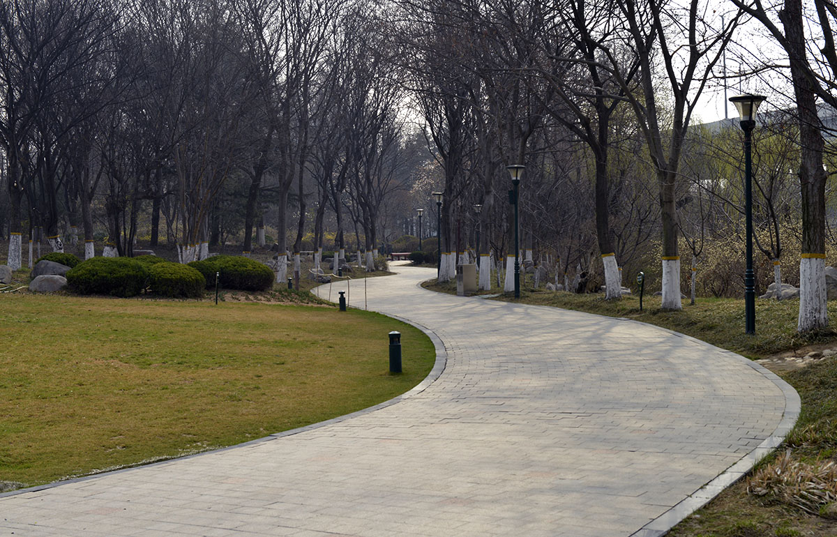 _DSC0060.JPG