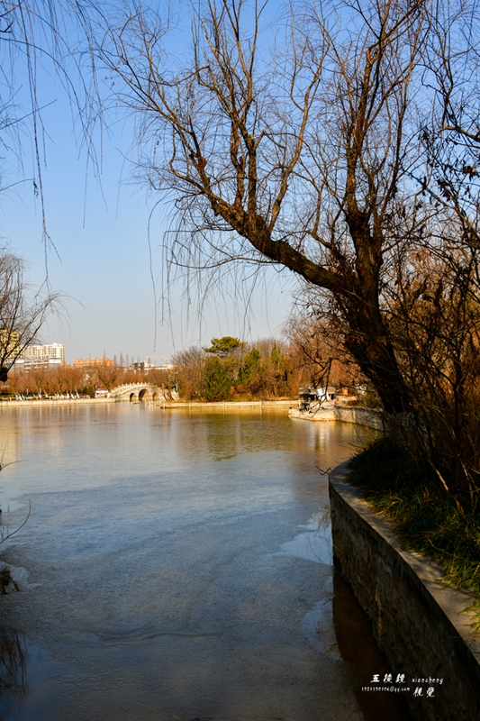 DSC_1293.JPG