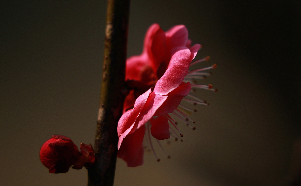587A1629-副本_副本.jpg