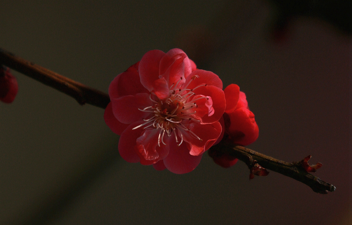 587A1627_副本.jpg