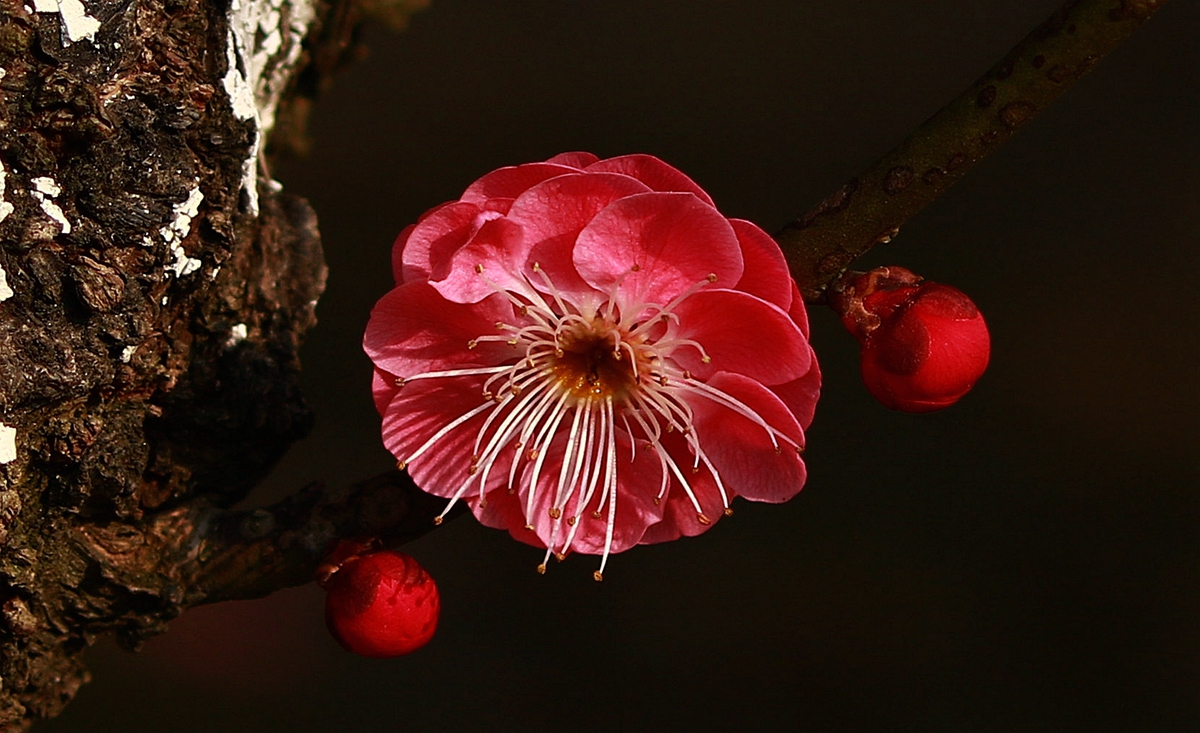 587A1639_副本.jpg