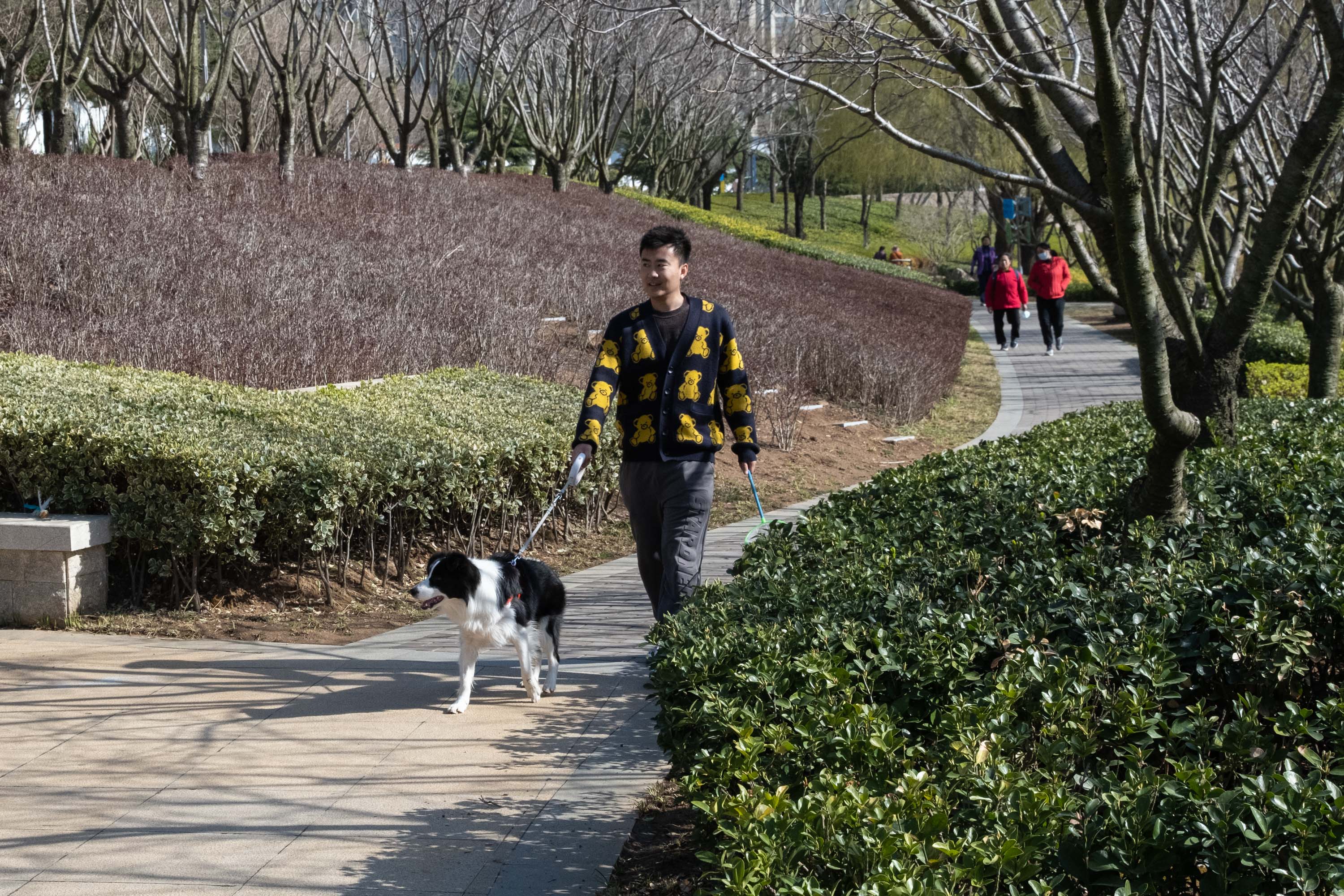 DSCF7128.jpg