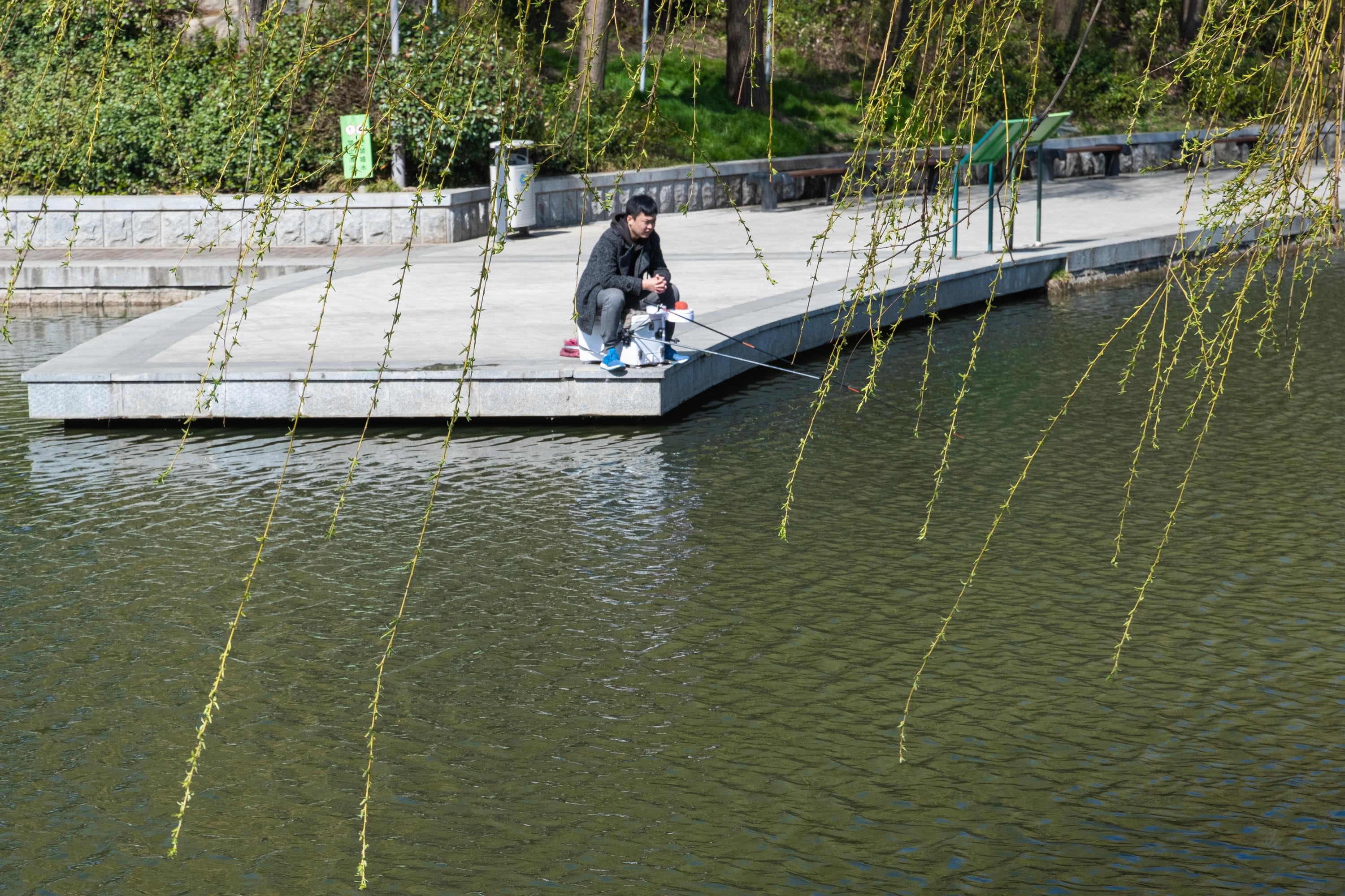 DSCF7207.jpg