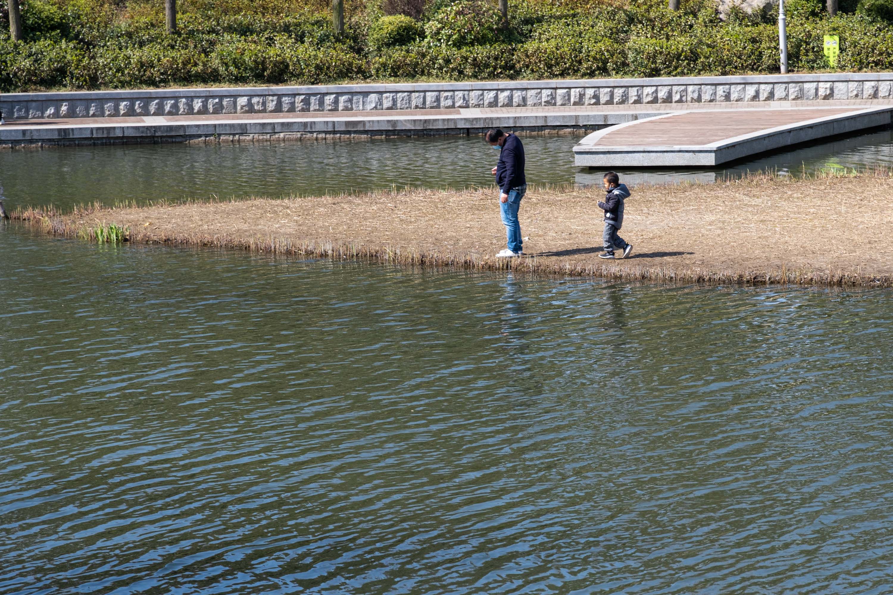 DSCF7208.jpg