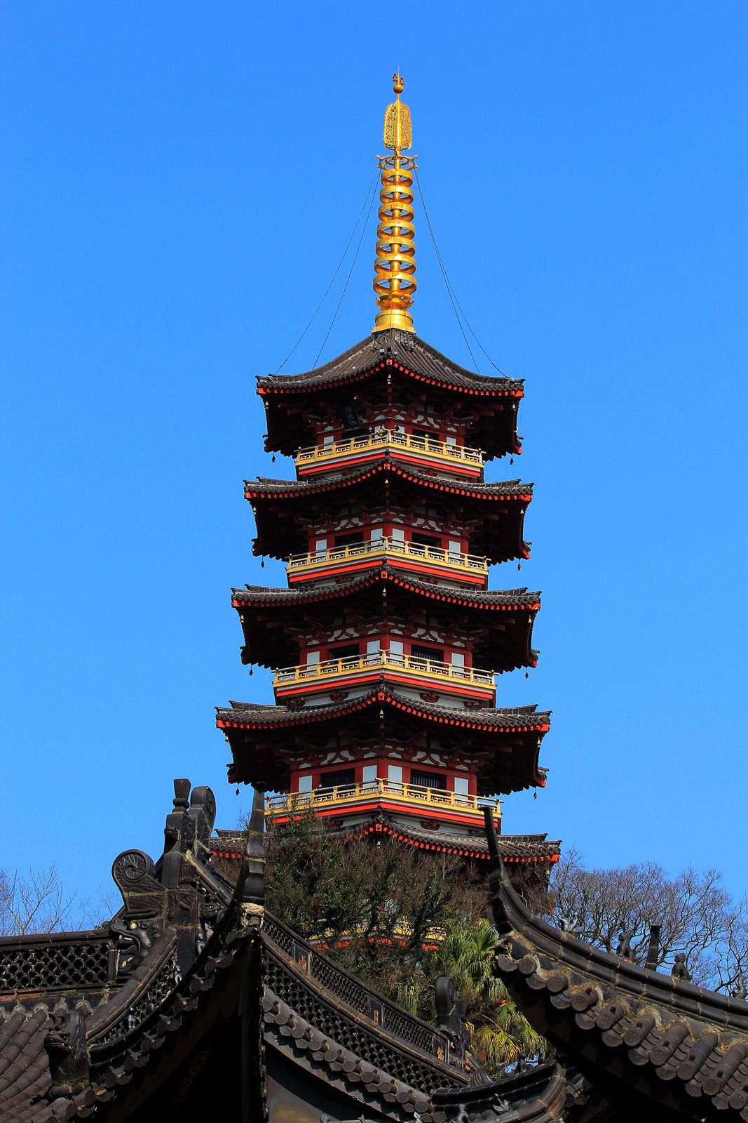 IMG_7543_副本.jpg