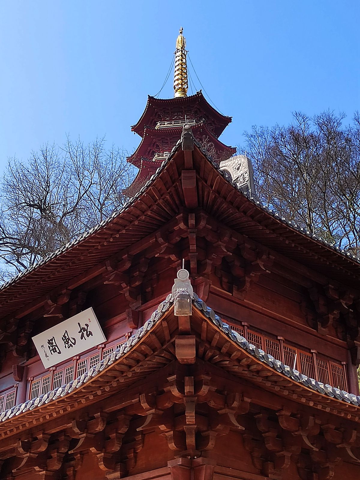 mmexport1645965163544_副本.jpg