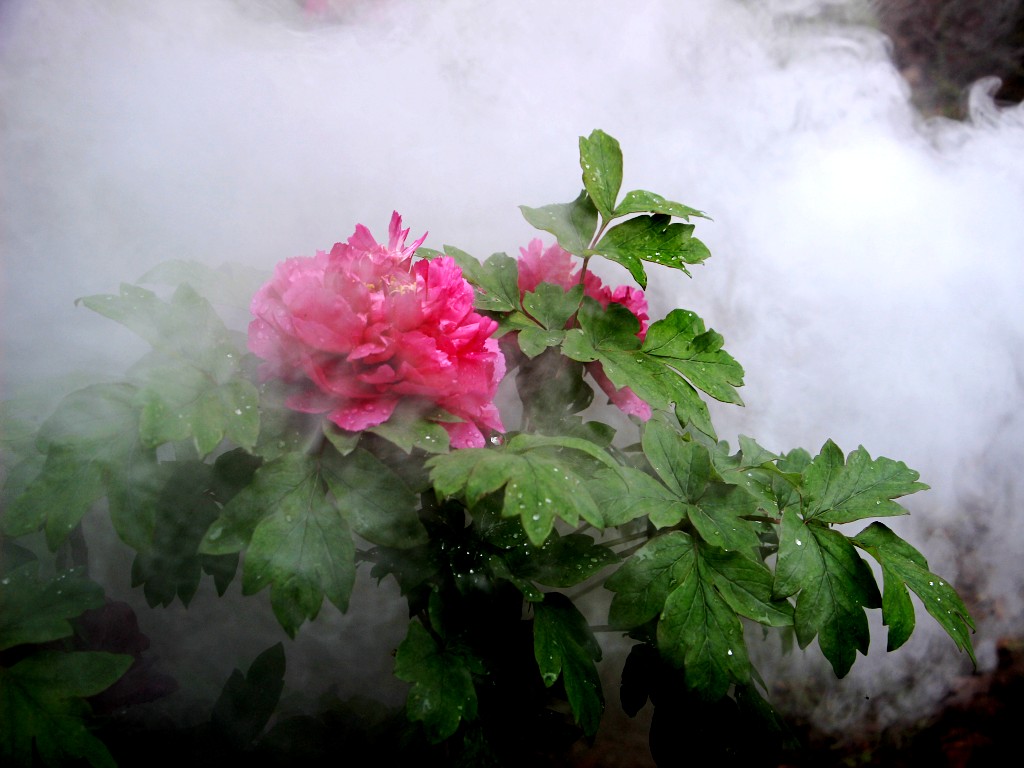 IMG_3357_conew1.jpg