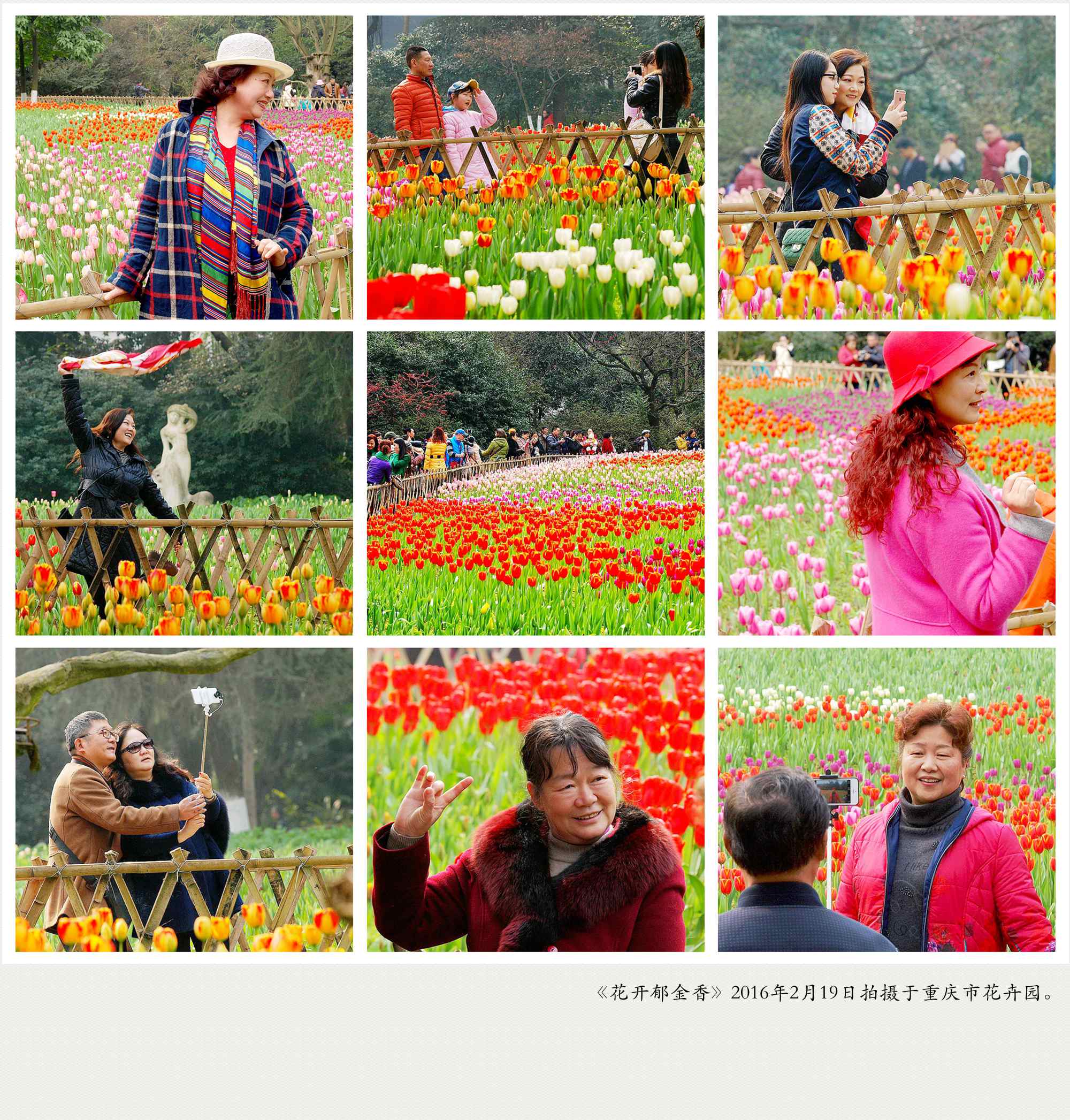 P2192541_副本_副本.jpg