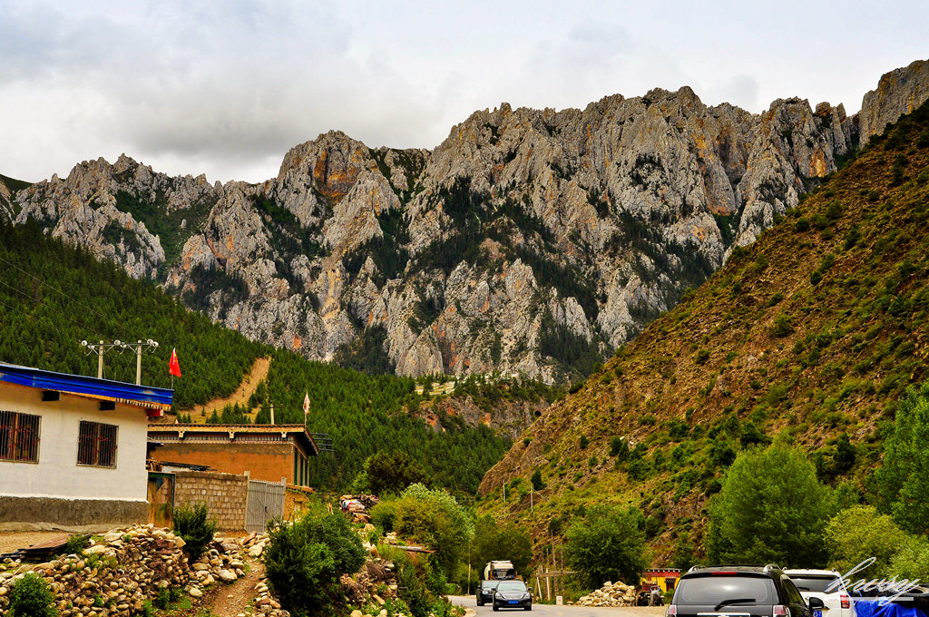 DSC_0419.JPG