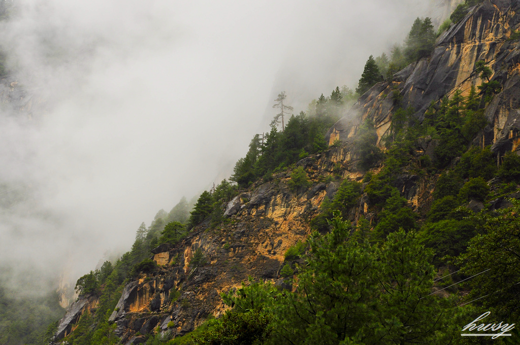 DSC_0469.JPG