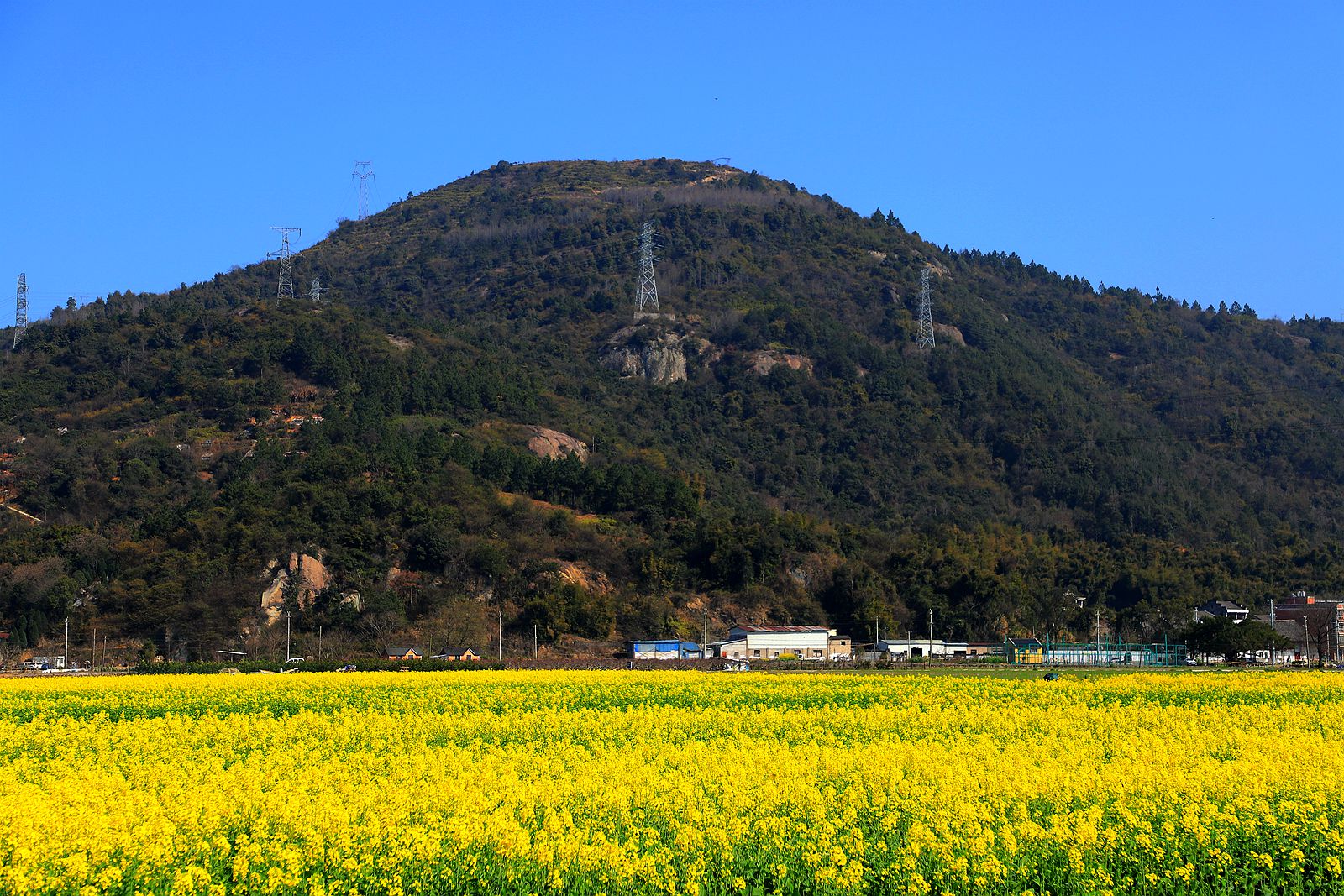 IMG_2942_副本.jpg