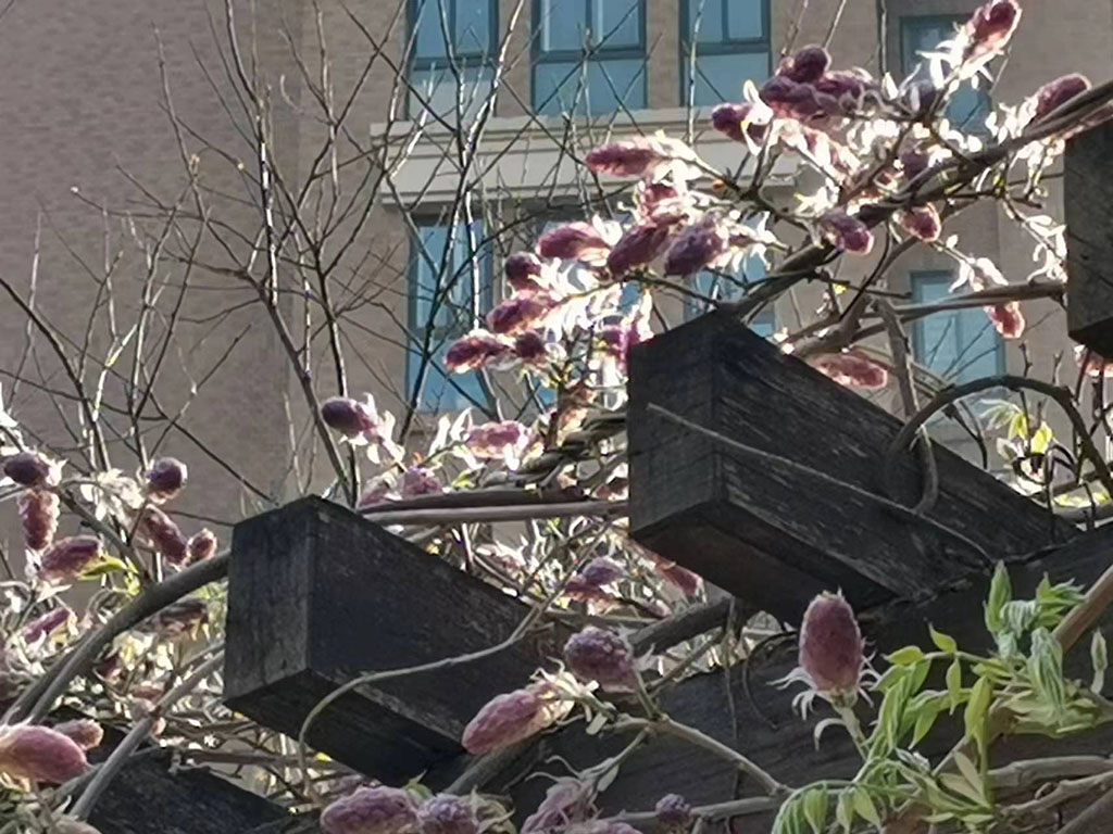 微信图片_20220416222609.jpg