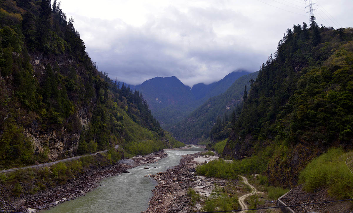 _DSC0785.JPG