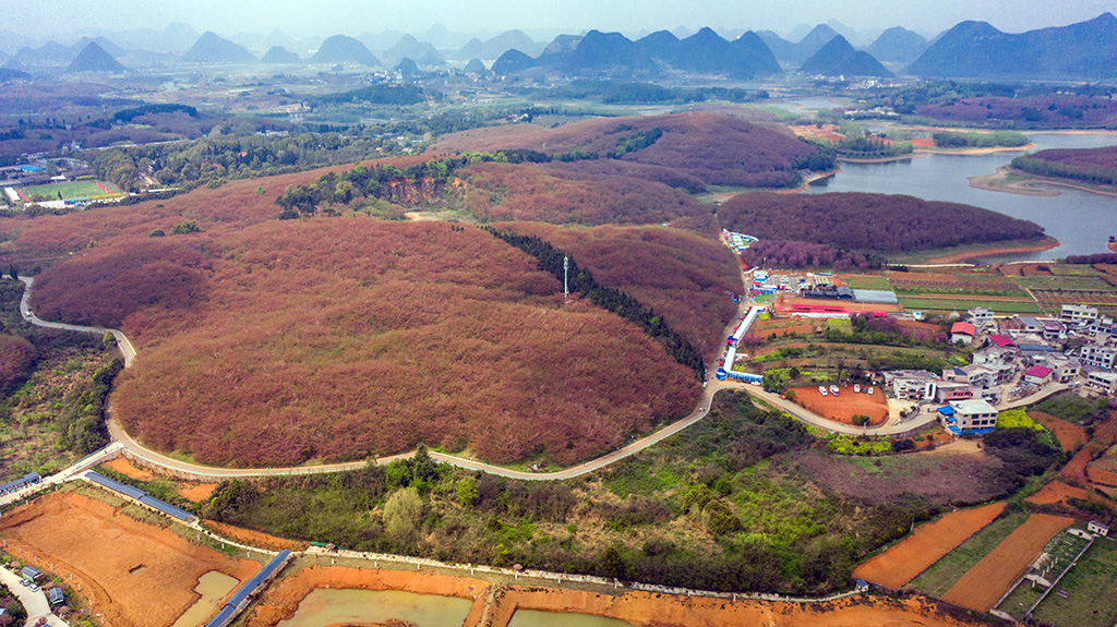 DJI_0329.jpg