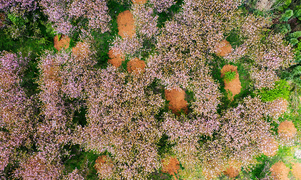 DJI_0341.jpg