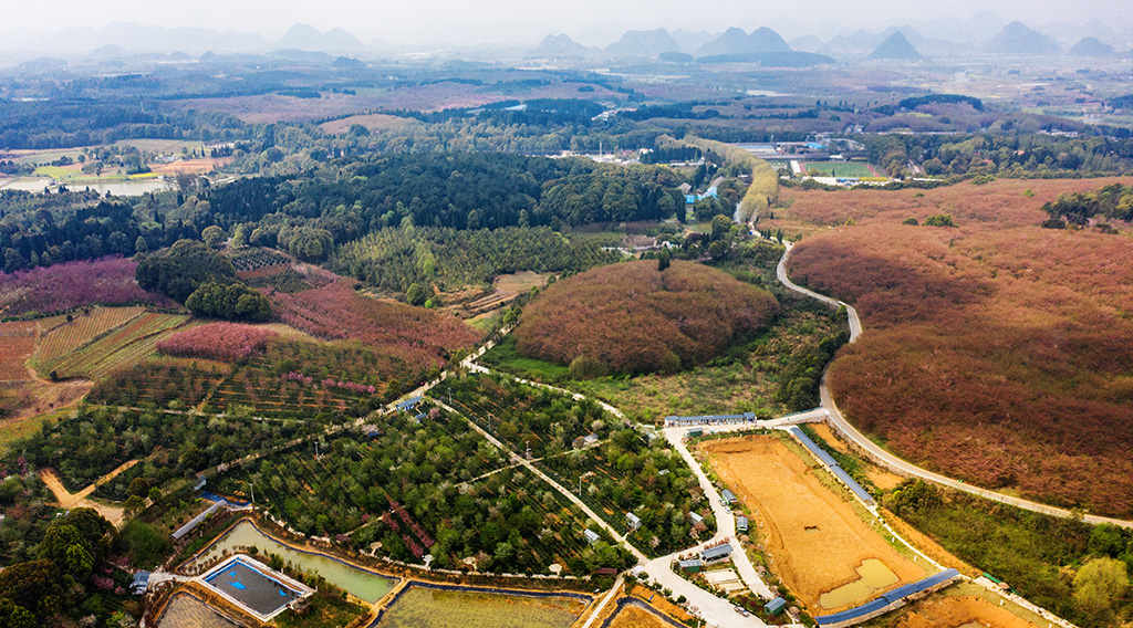 DJI_0330.jpg