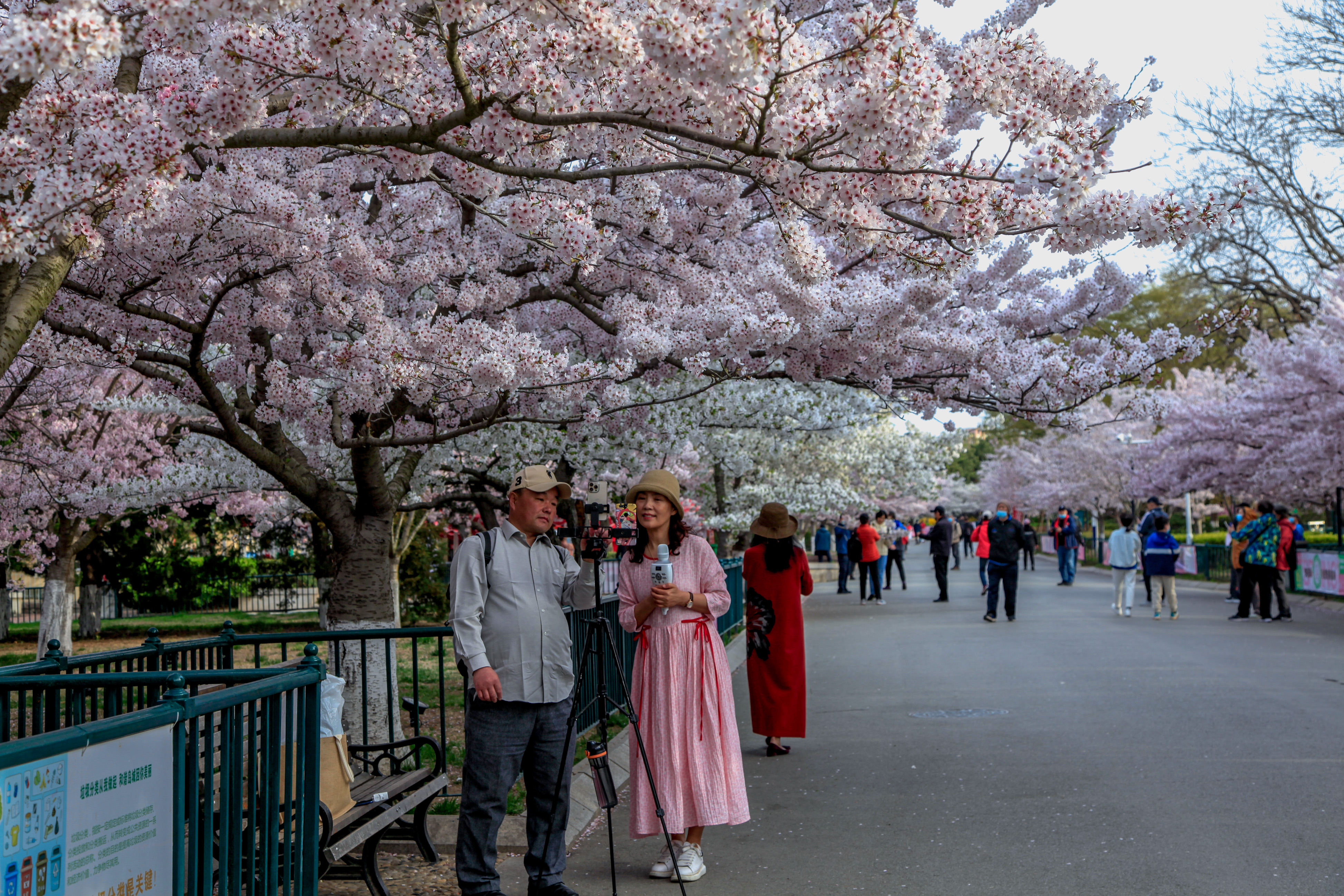 _MG_0024.jpg