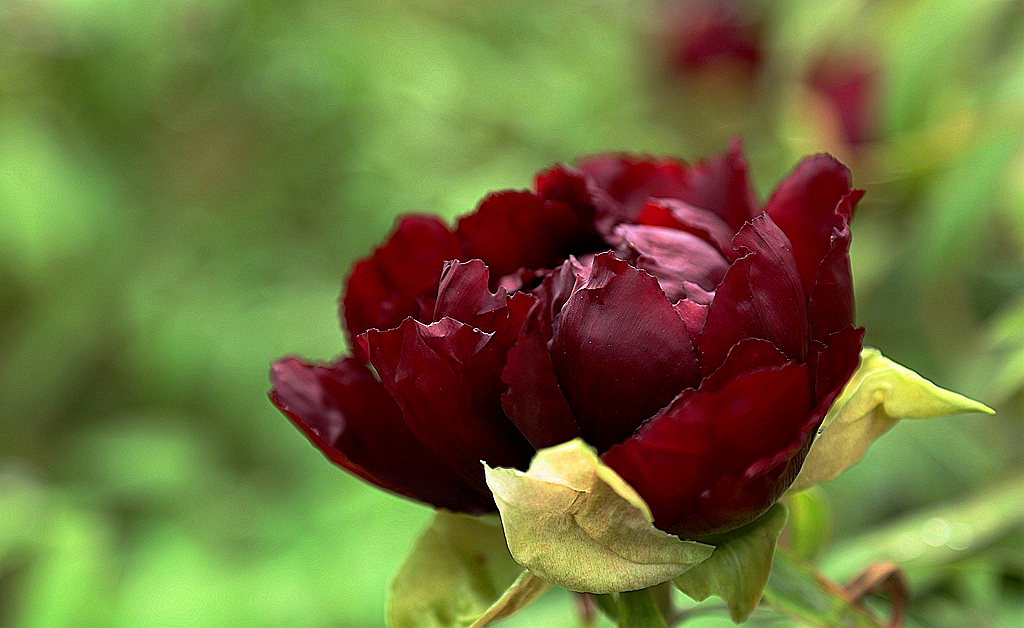 FU2A0246.JPG