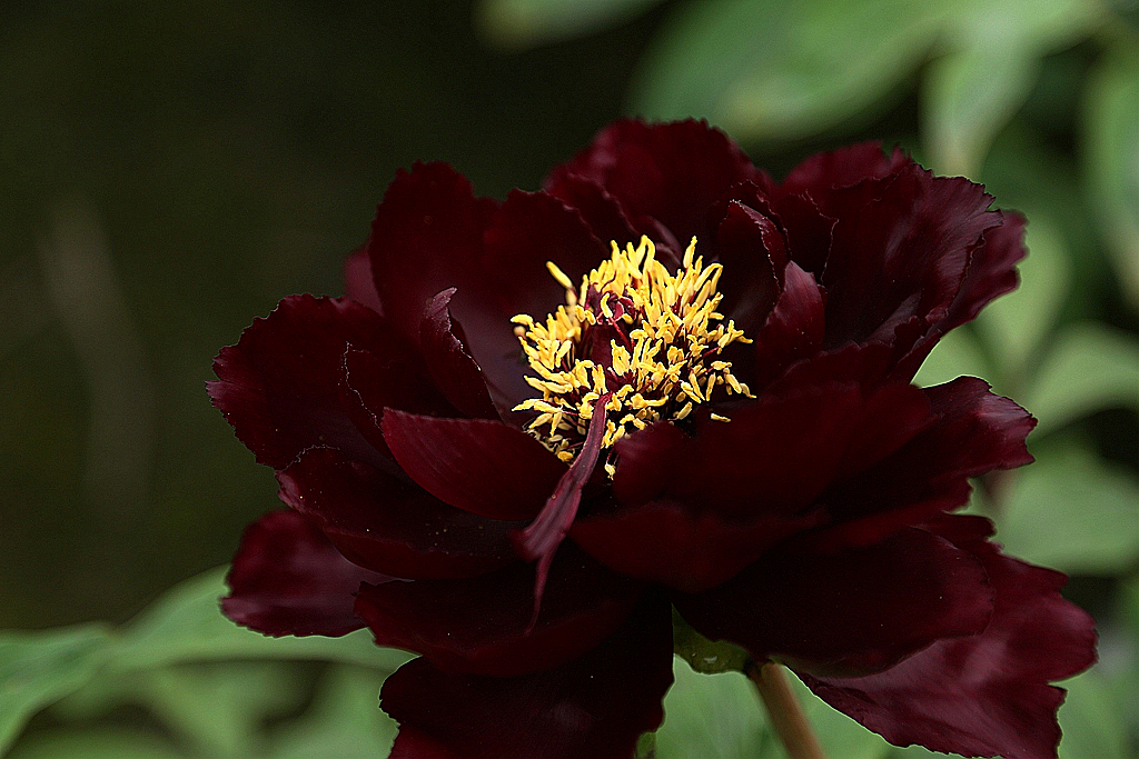 FU2A0255.JPG