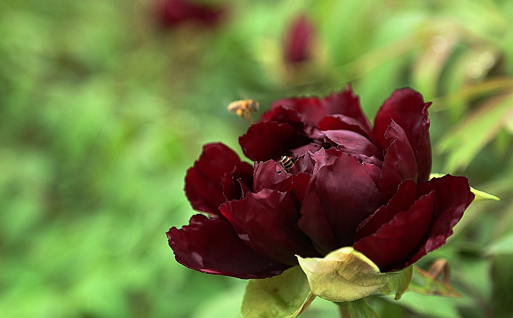 FU2A0269.JPG
