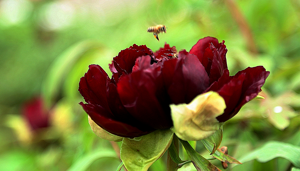 FU2A0275.JPG