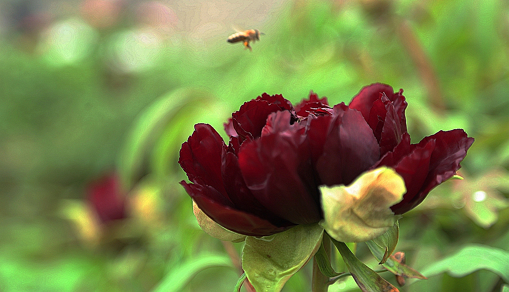 FU2A0277.JPG
