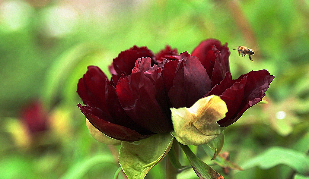 FU2A0274.JPG