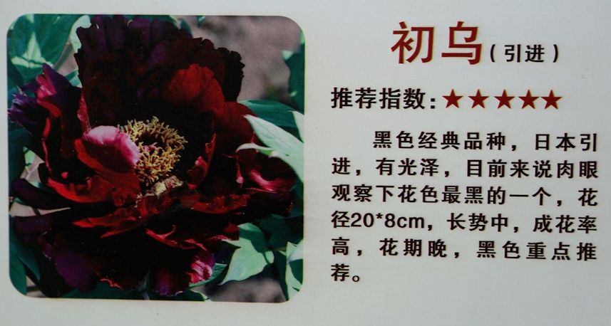 FU2A0266.JPG