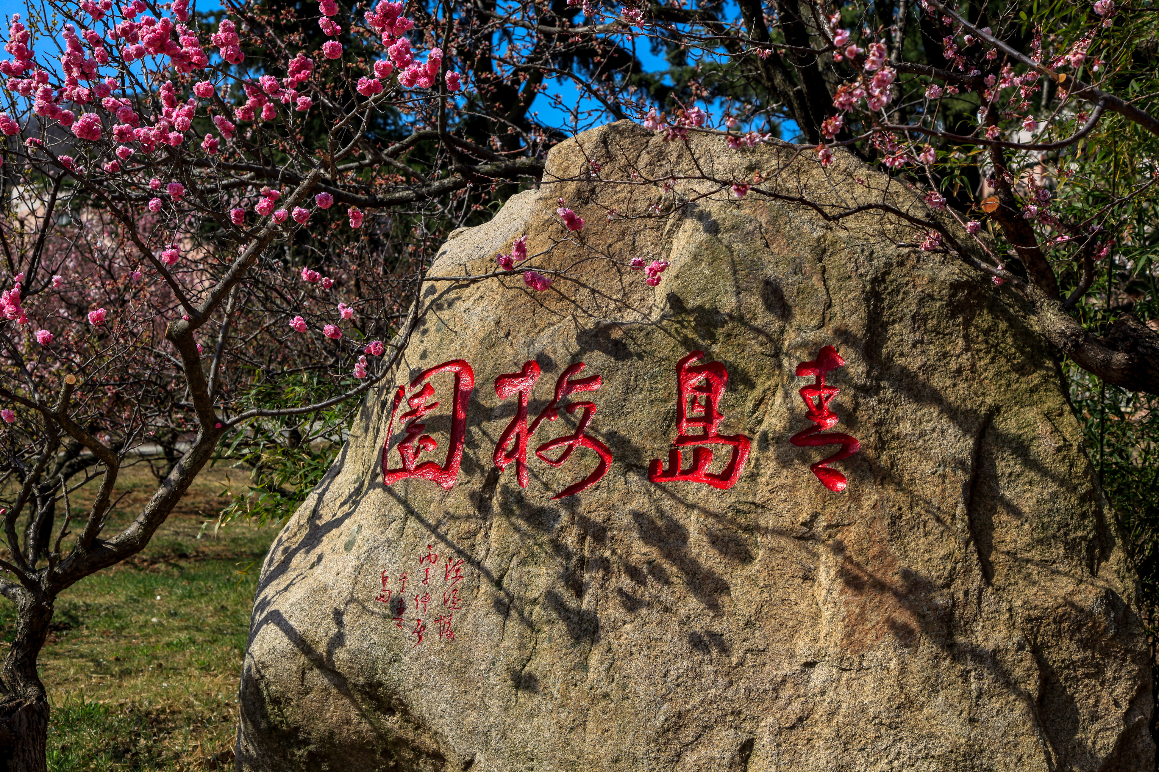 _MG_0172.jpg