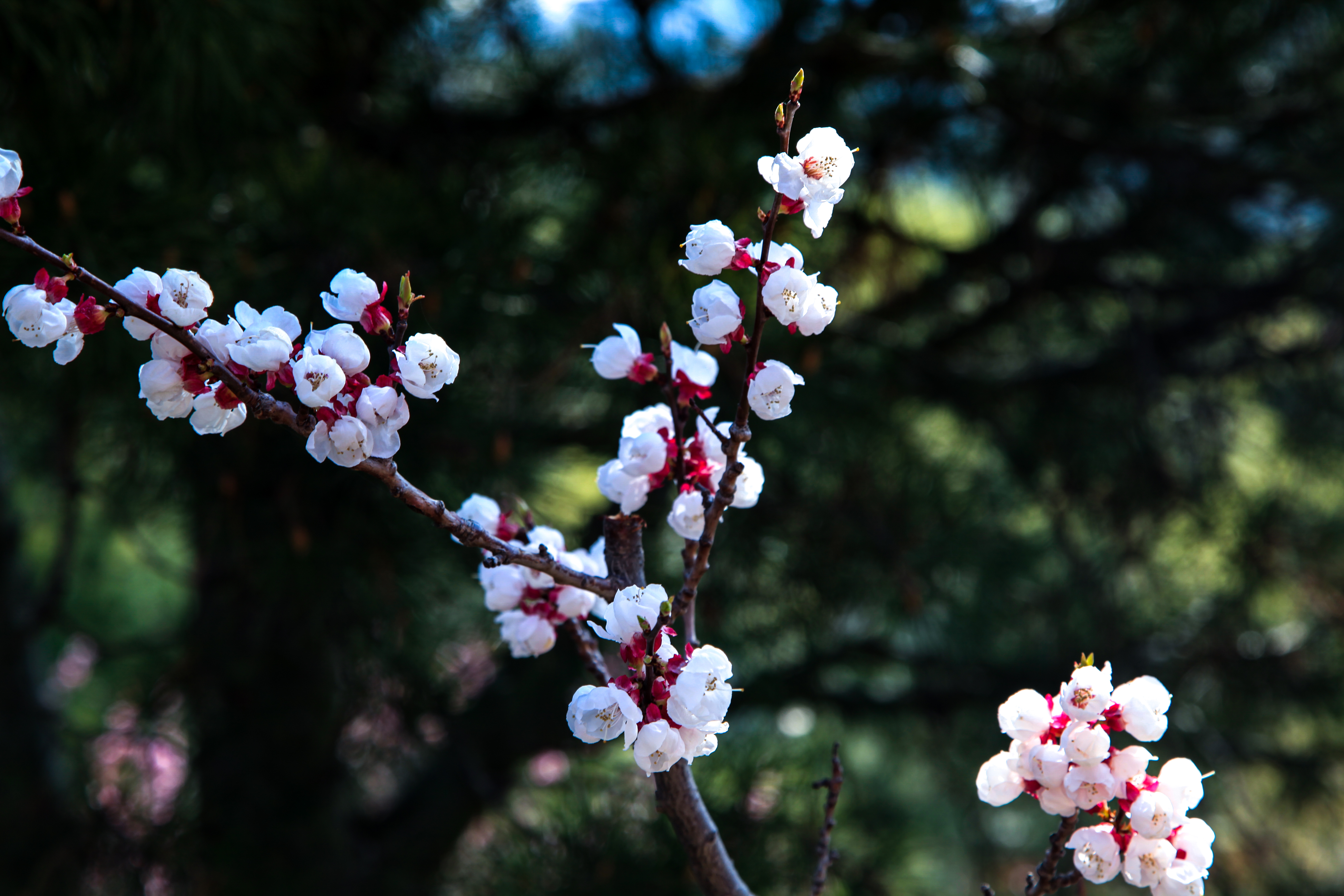 _MG_0173.jpg