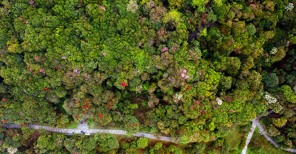 DJI_0383.jpg