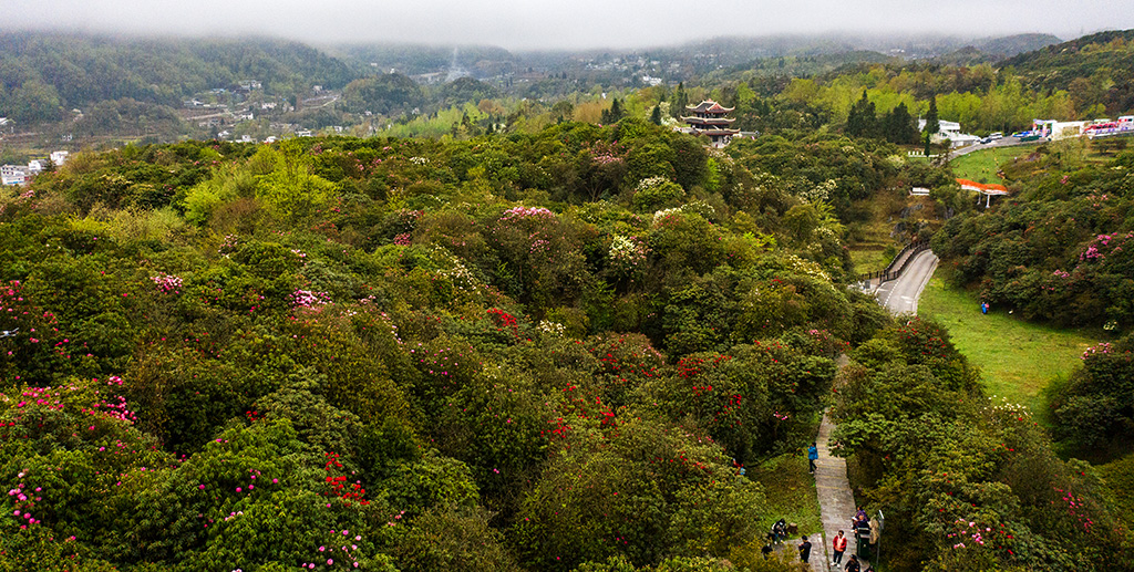 DJI_0389.jpg