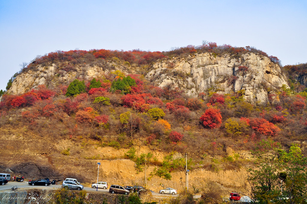 DSC_0019.JPG