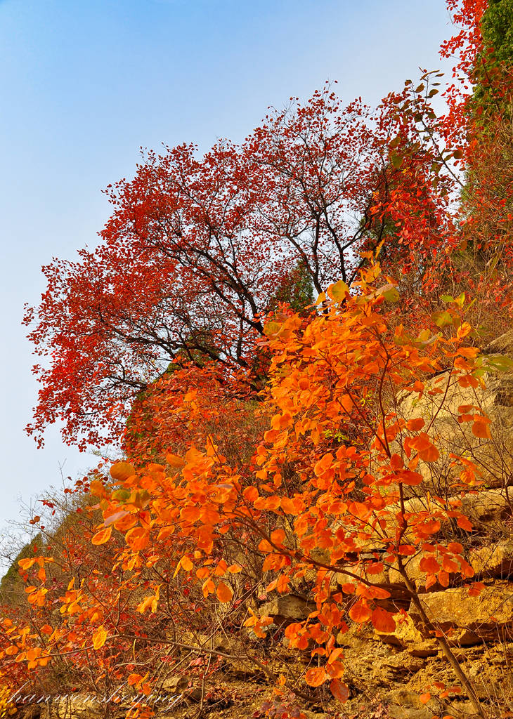 DSC_0030.JPG