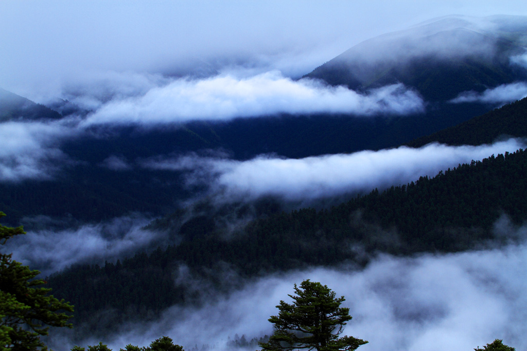 _MG_9834.JPG
