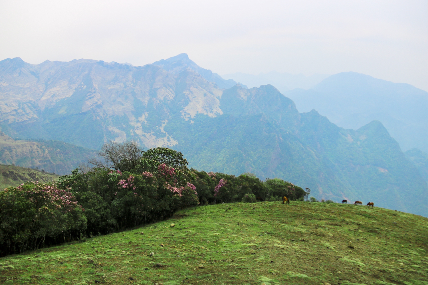 百灵山1.JPG