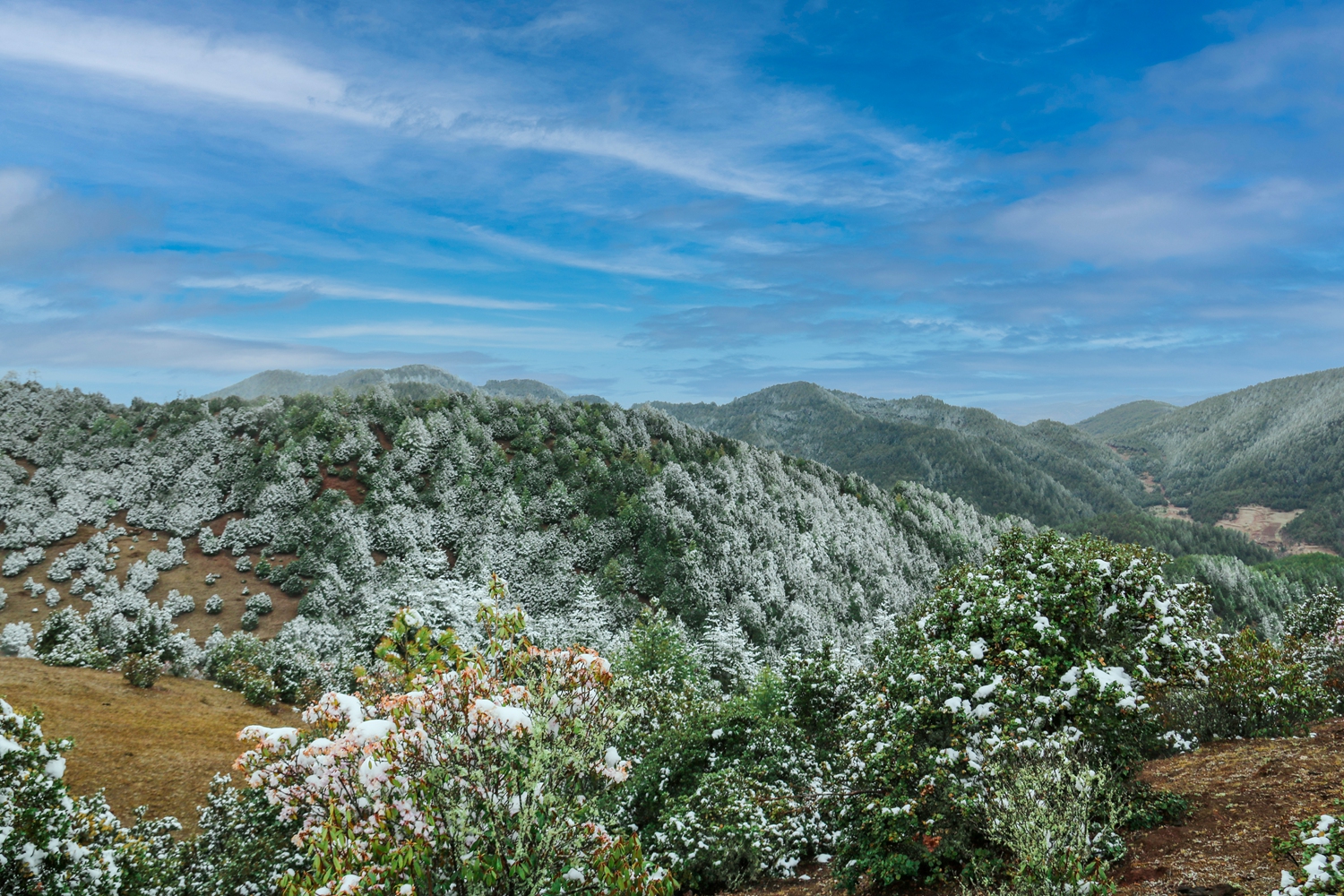 百灵山5.jpg