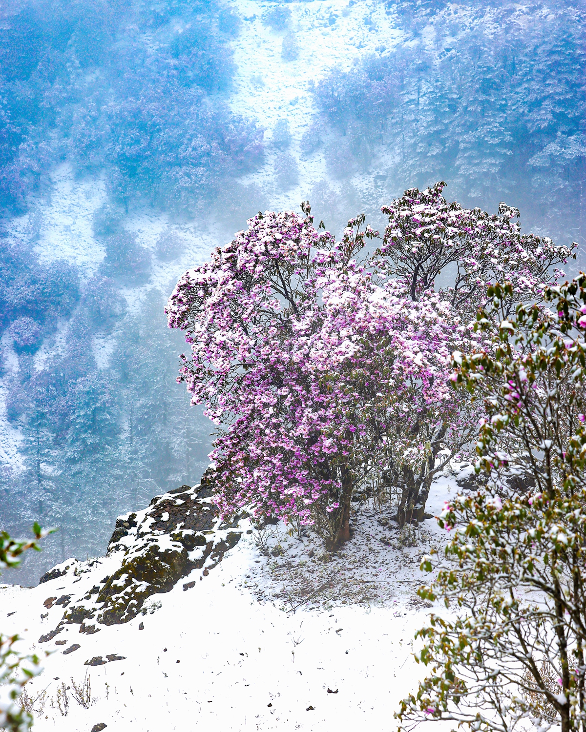 百灵山7.jpg