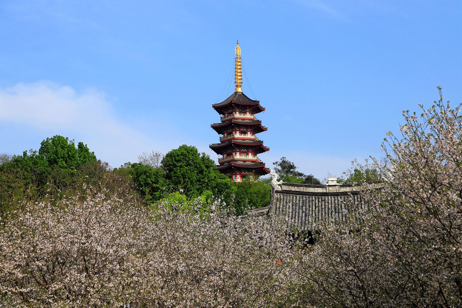 IMG_4276_副本.jpg